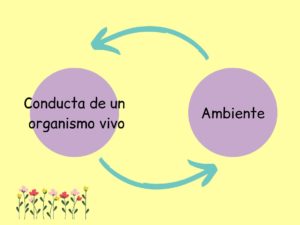 Relación conducta- ambiente.